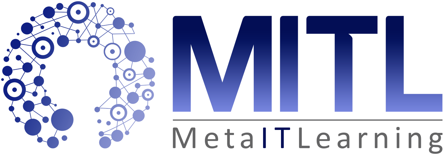 Meta IT Learning